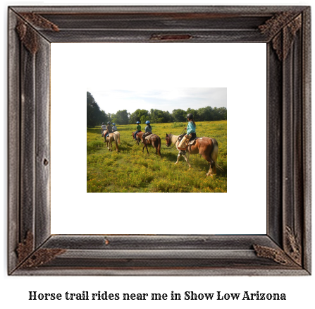 horse trail rides near me in Show Low, Arizona